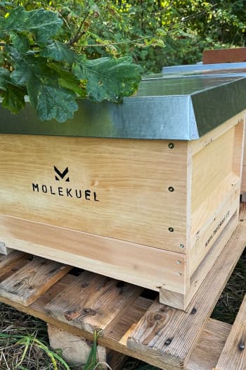 MOLEKUEL-Bienenbeute aus Holz im Zandermaß